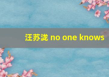 汪苏泷 no one knows